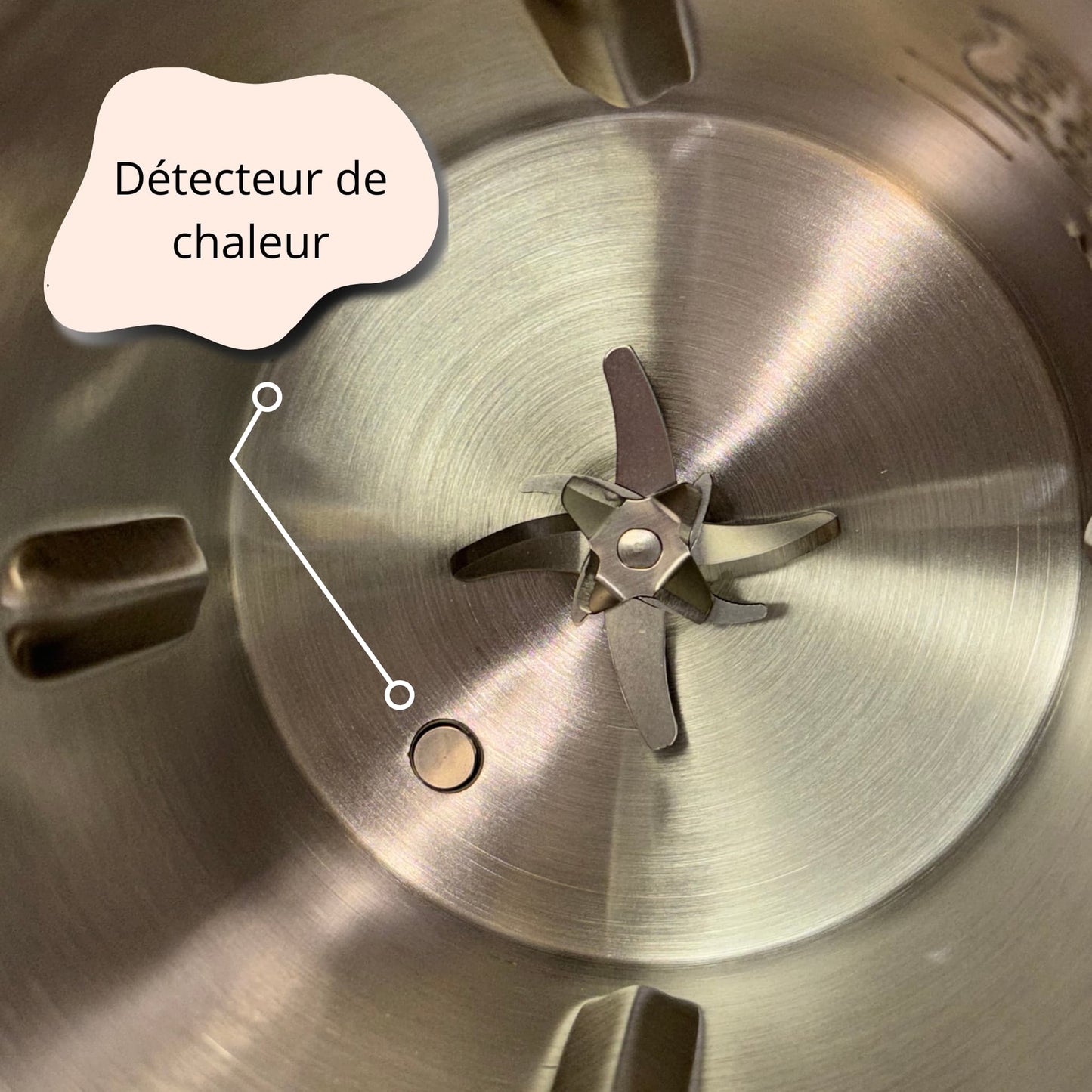 La machine pour un lait végétal 100% sain